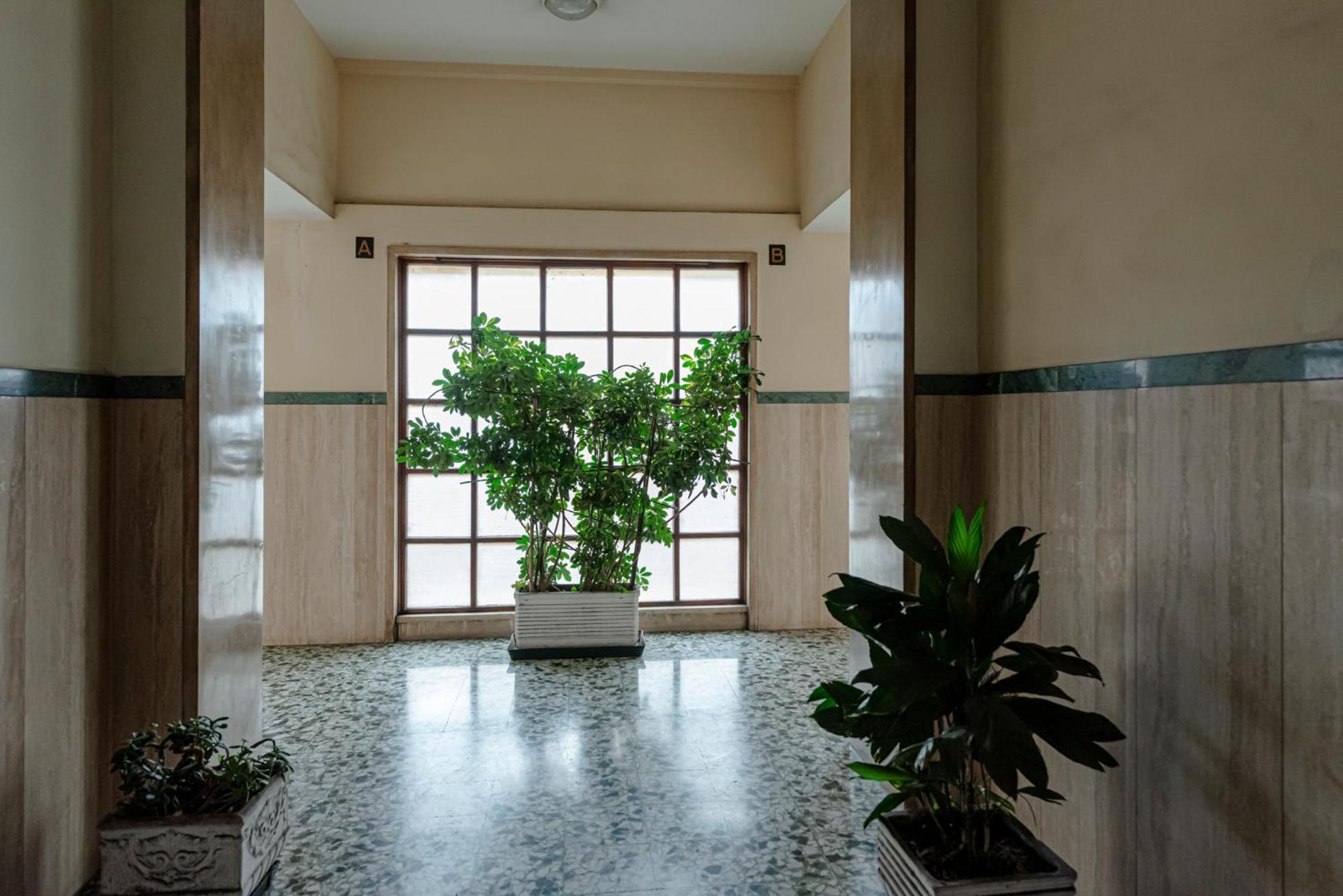 Bed & Breakfast Il Narciso Ρώμη Εξωτερικό φωτογραφία